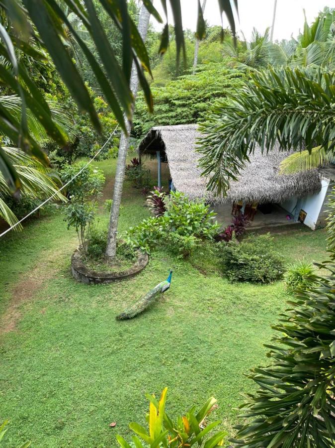 Hiru Villa 坦加拉 外观 照片