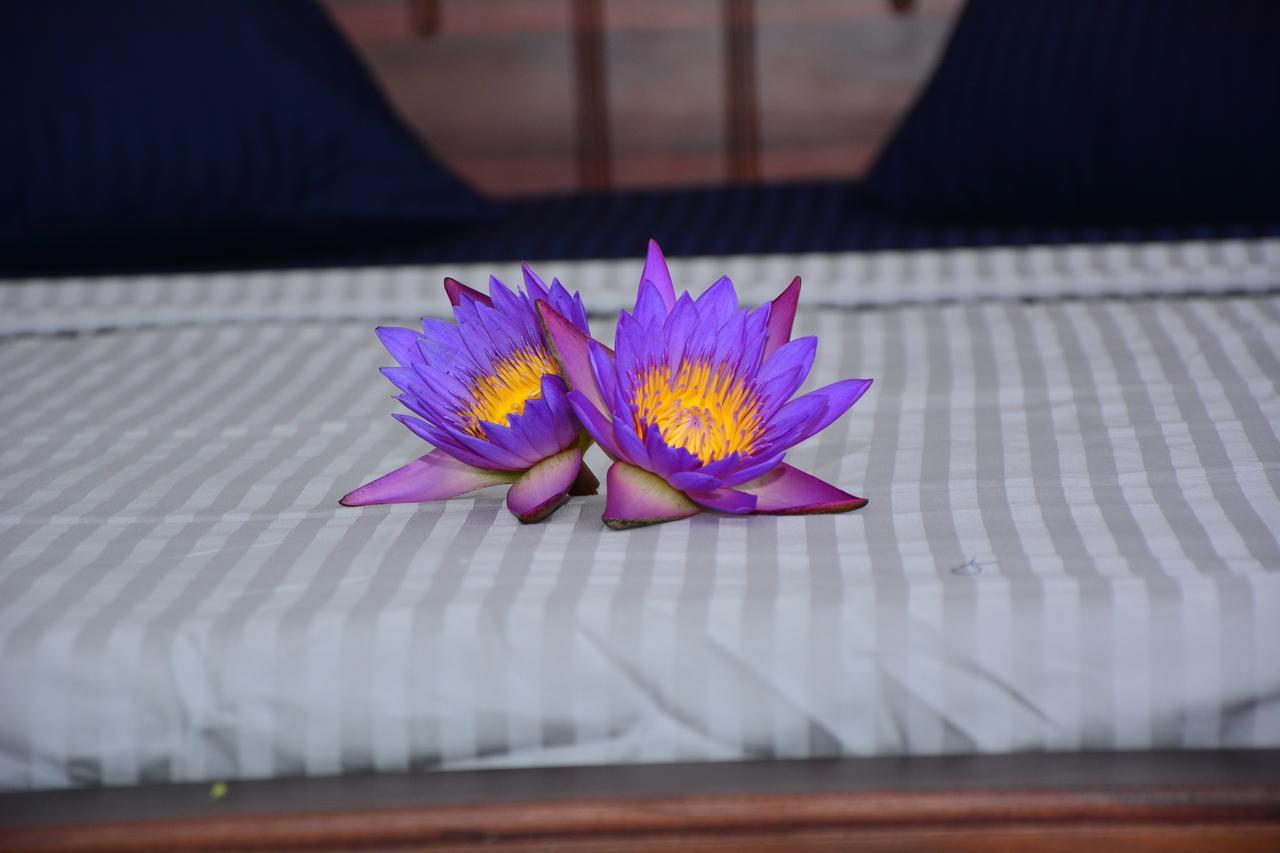 Hiru Villa 坦加拉 外观 照片